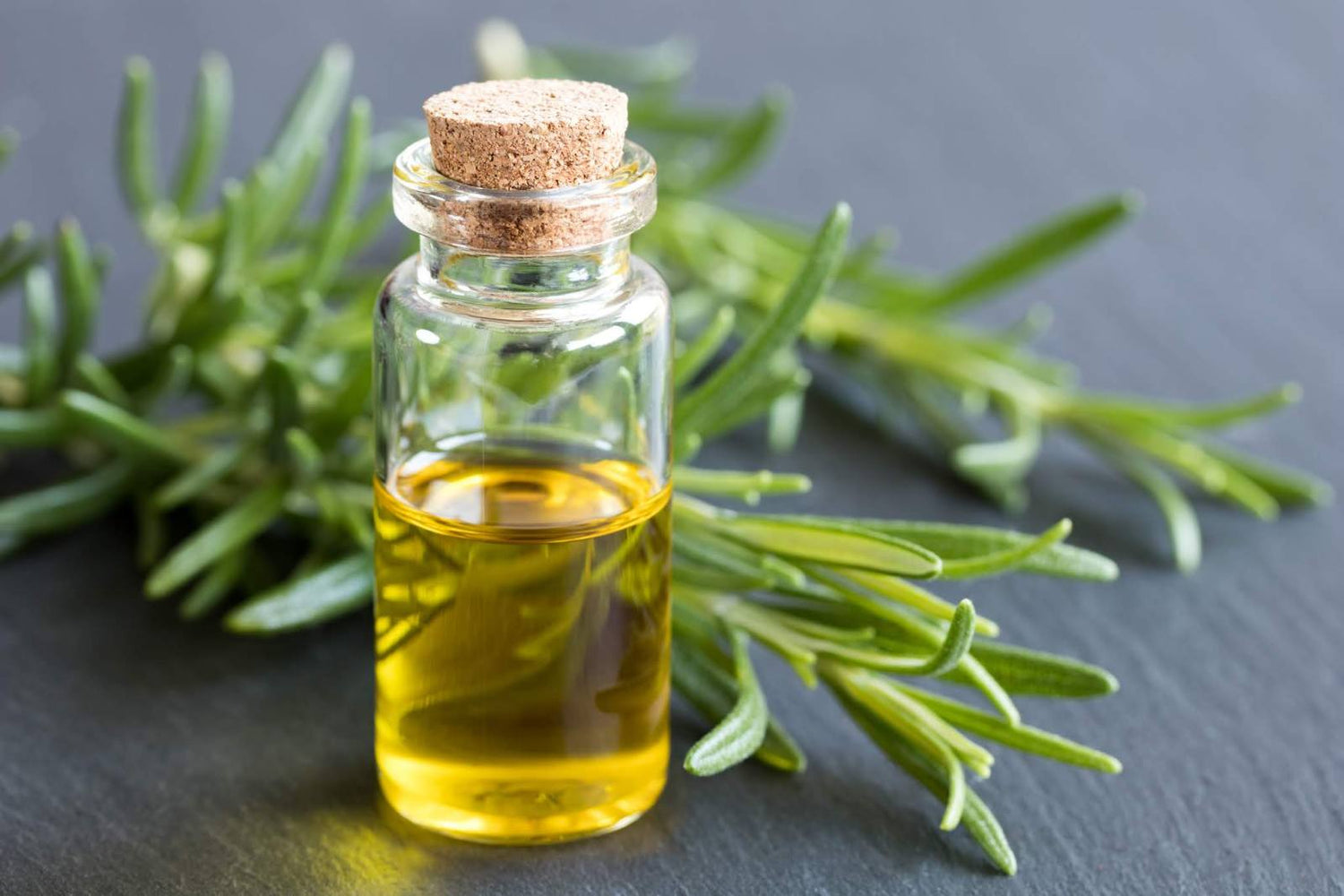 Rosemary Oil for Hair Loss - bobooils