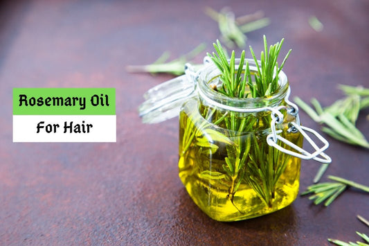 Rosemary Oil for Hair - bobooils